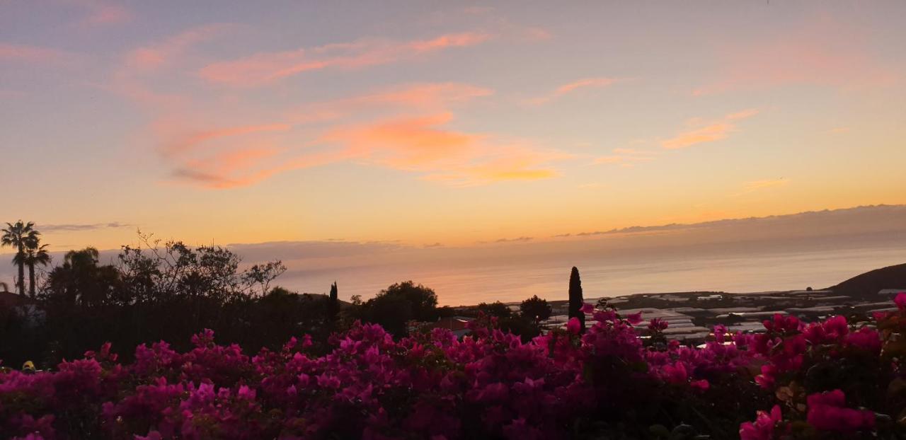 Bungalow La Datura El Paso Εξωτερικό φωτογραφία